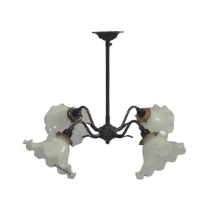 FPD4-014 ชุด 4 ก้านขนนกใส่จีบมาก