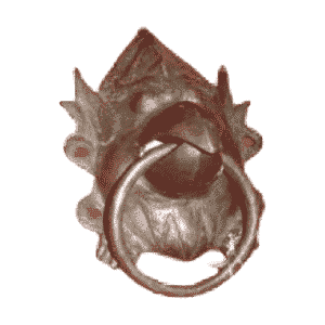 TD 926 หน้าครุณคาบห่วง